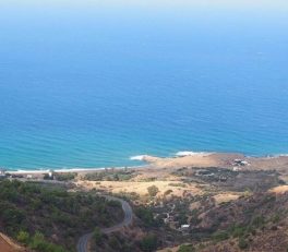 Omega Beach Paphos