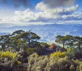 Troodos-hegység Ciprus