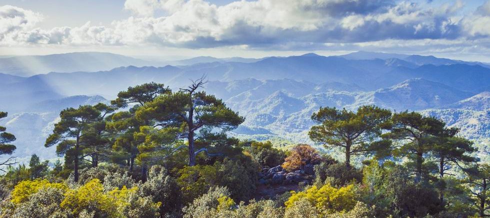 Troodos-hegység Ciprus