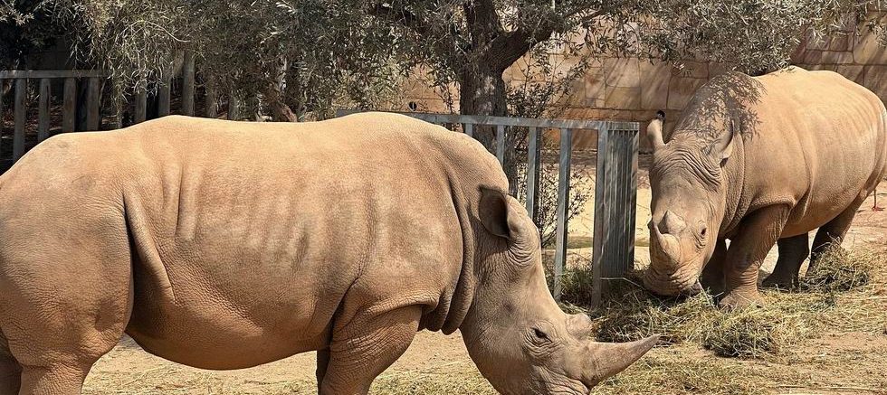 paphos zoo